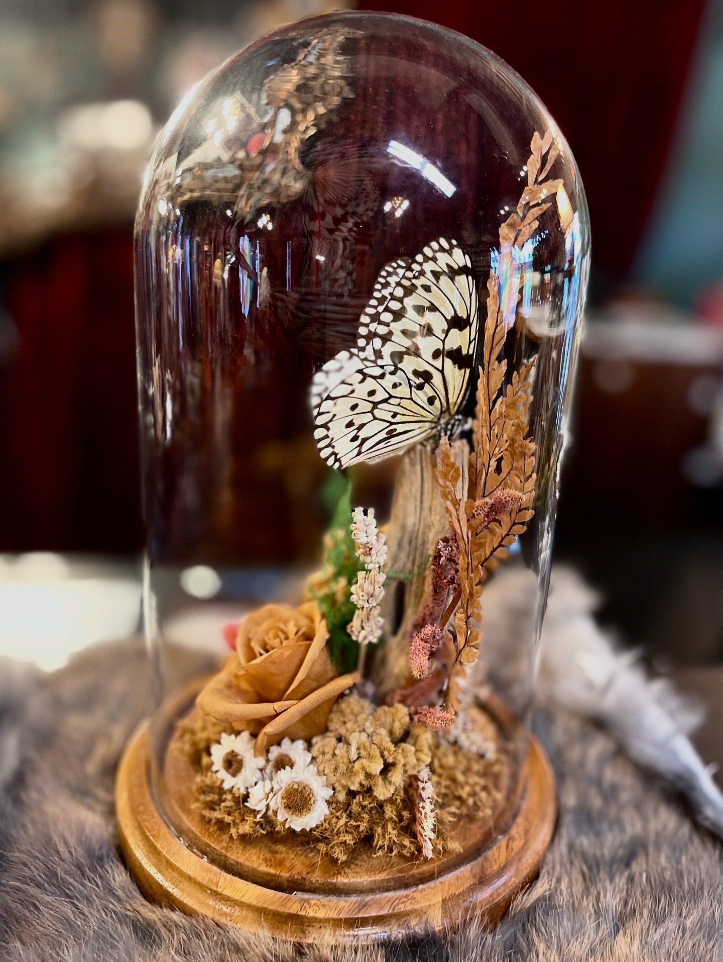 Vintage Butterfly Art Cloche