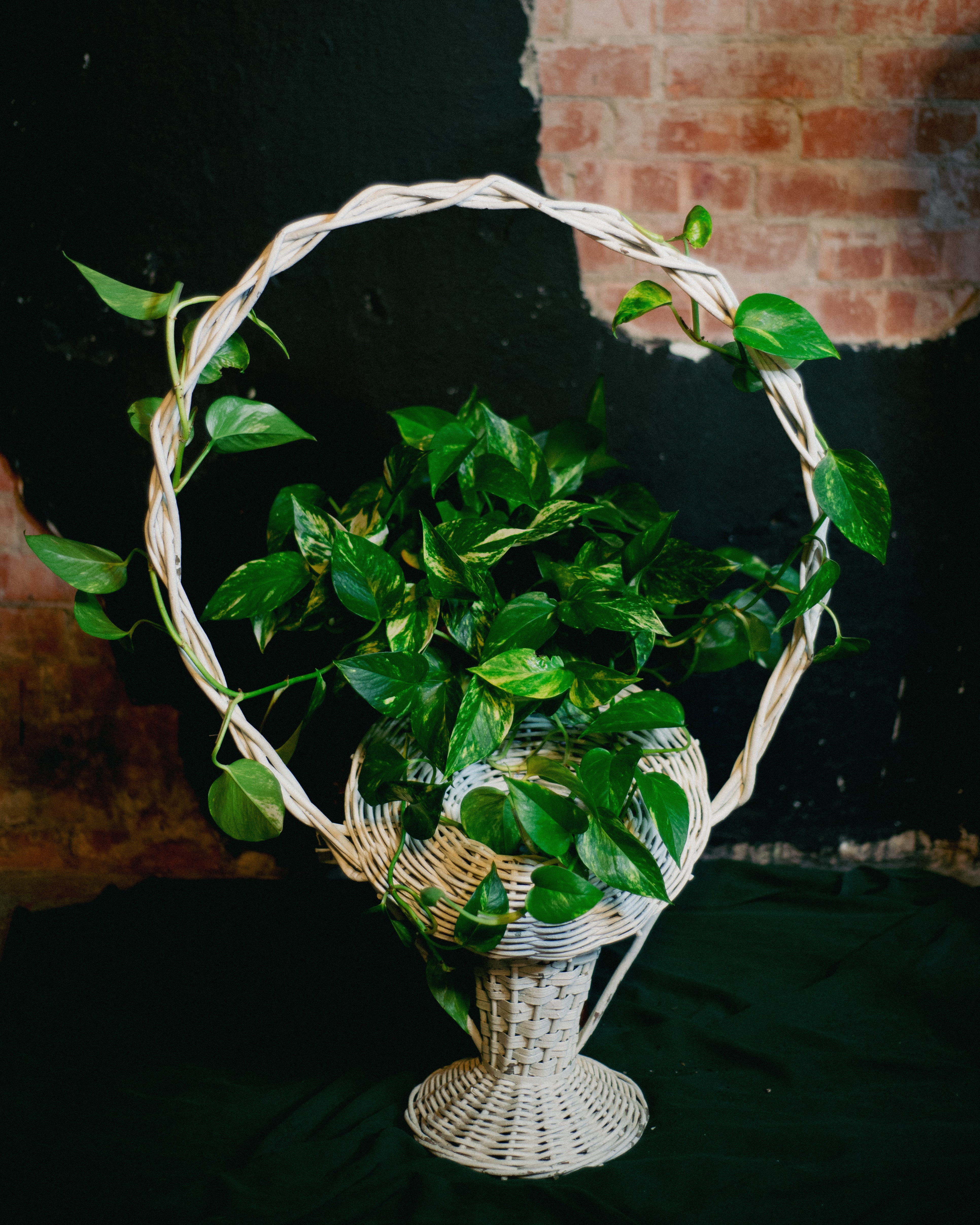 Victorian Funeral Basket