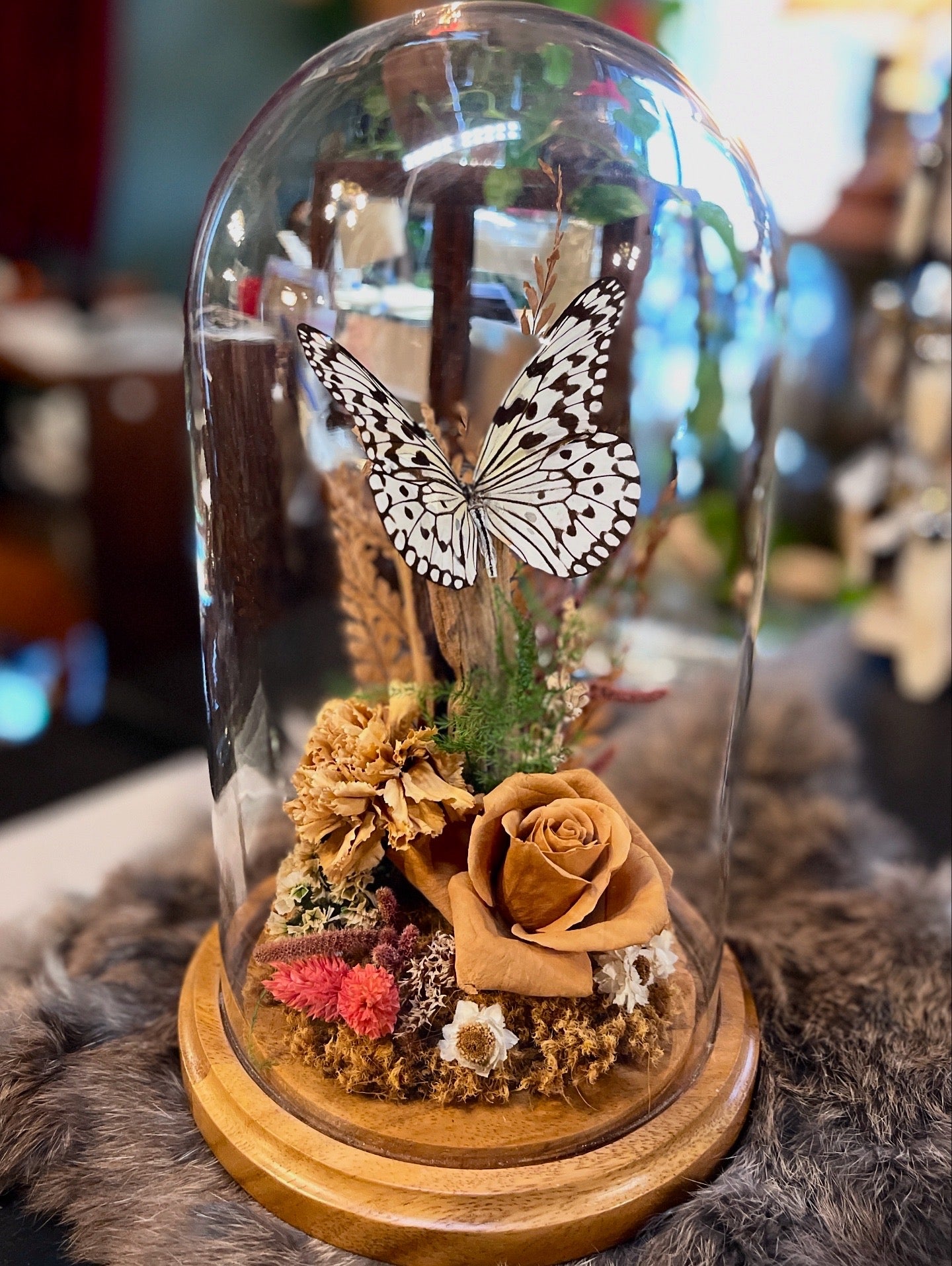 Vintage Butterfly Art Cloche