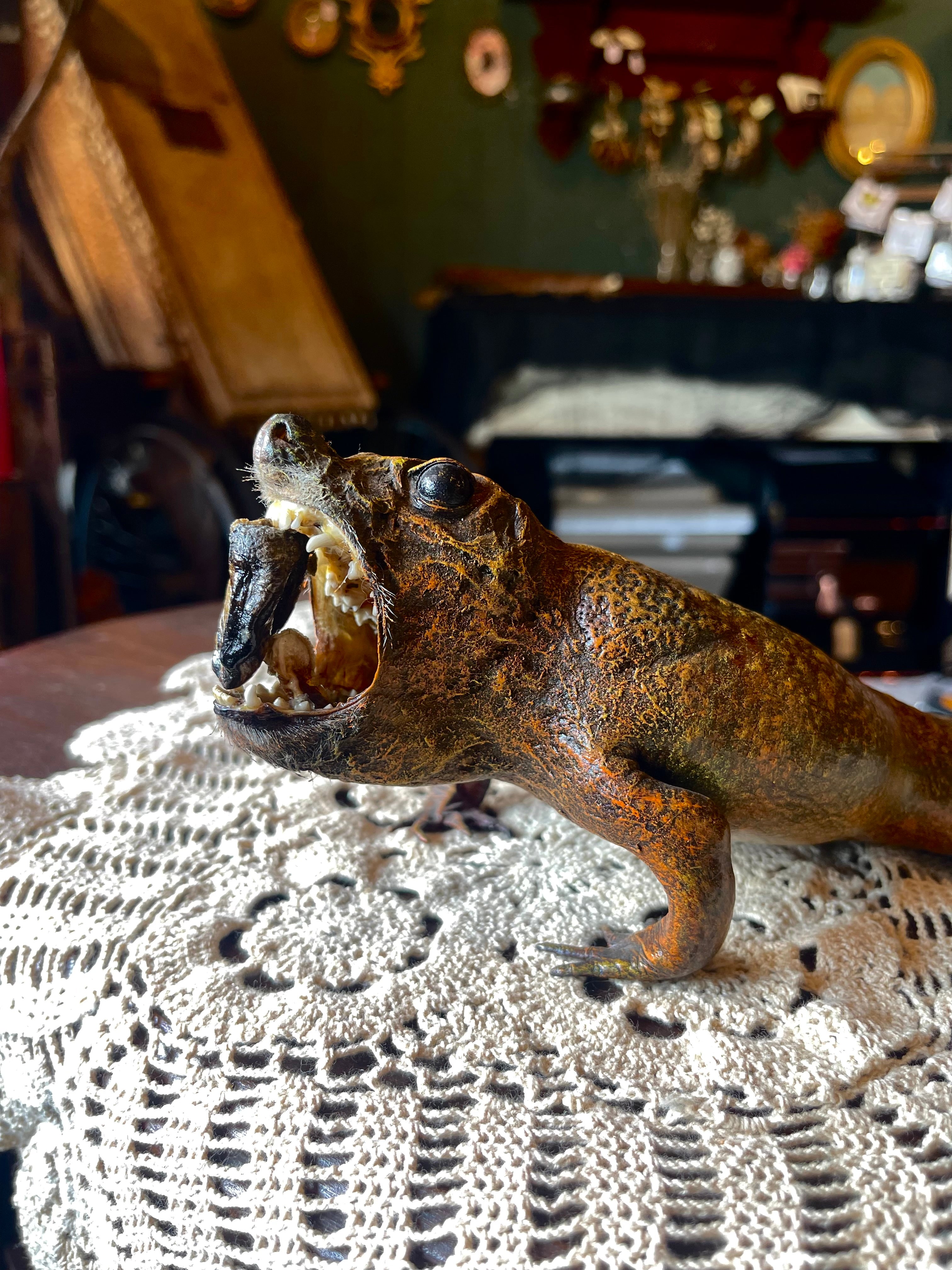 Killer Toad Vintage Taxidermy