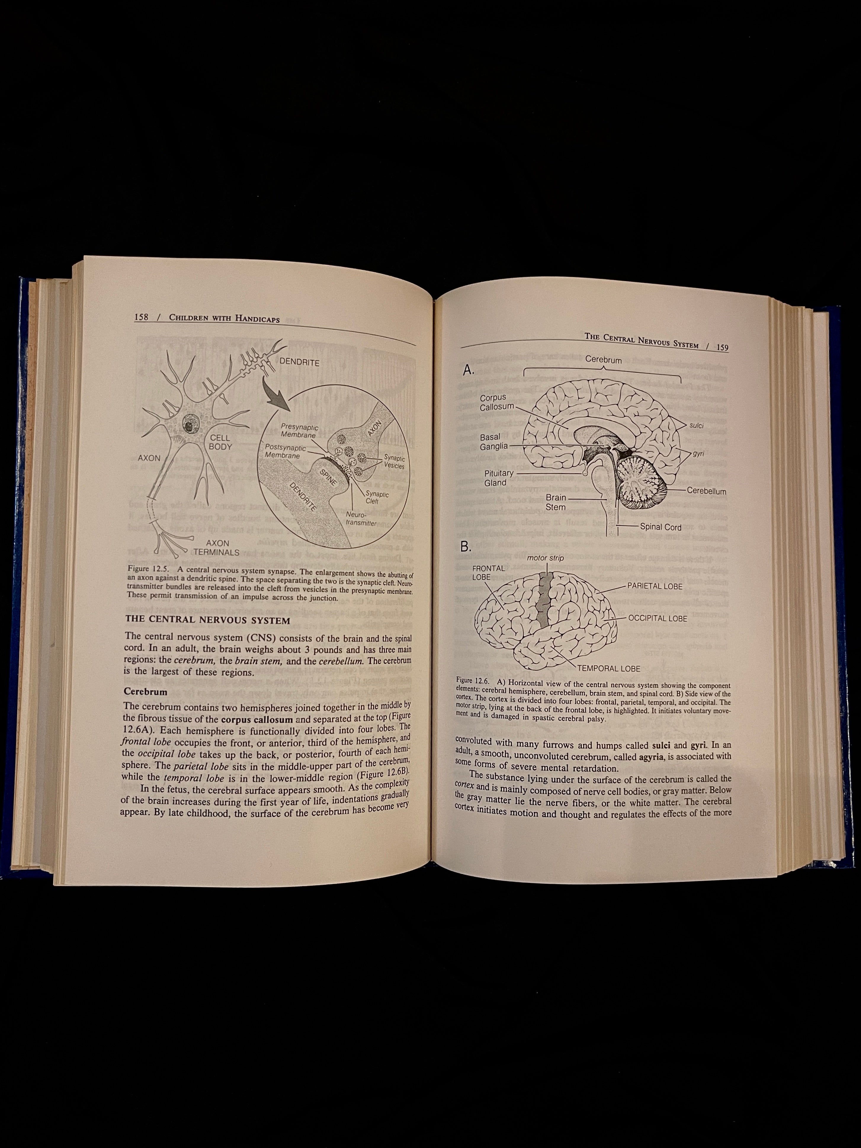 Children with Handicaps, A Medical Primer, 1981