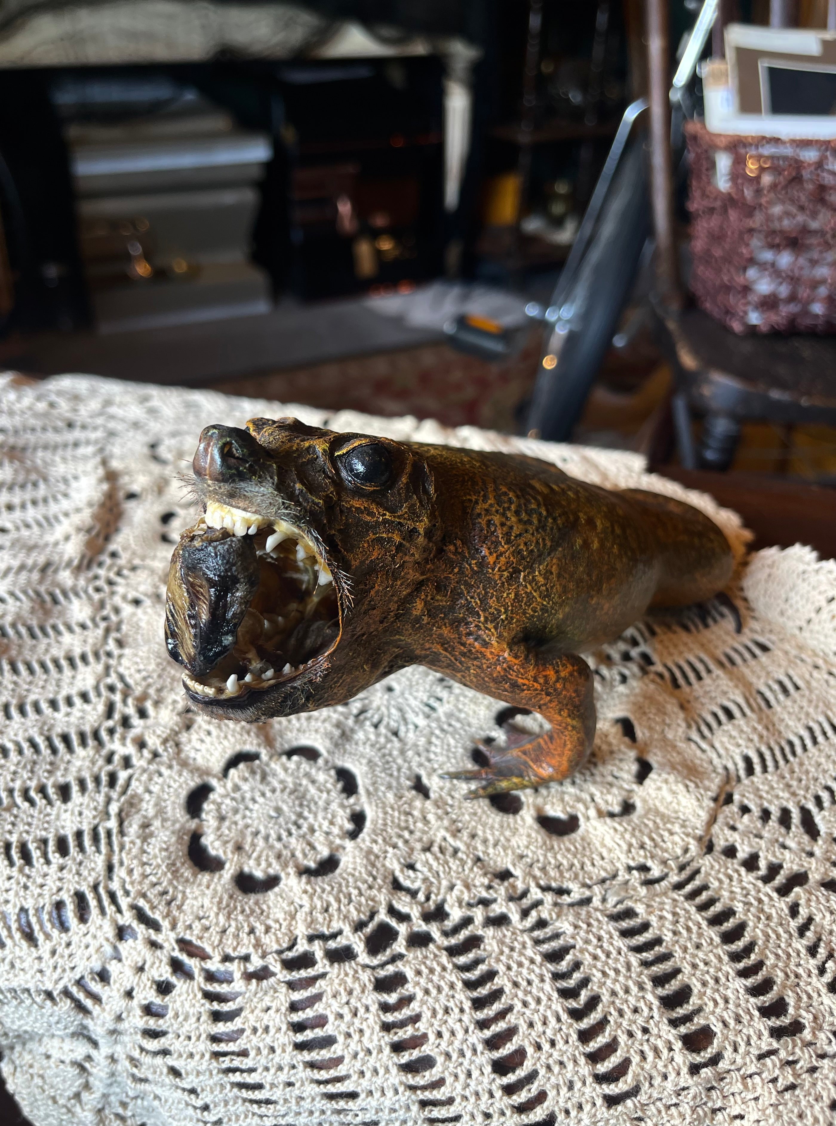 Killer Toad Vintage Taxidermy
