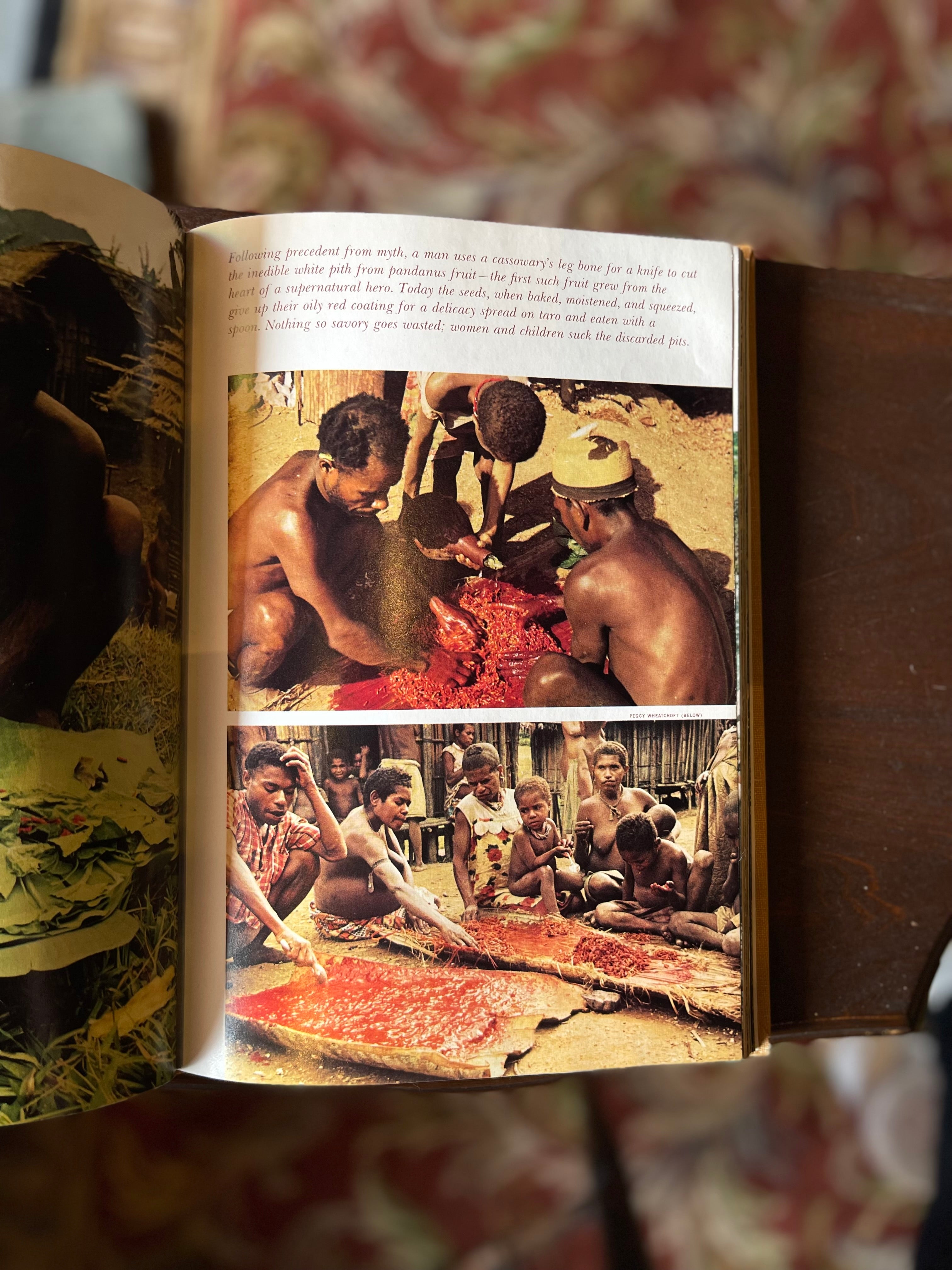 Primitive Worlds, National Geographic Society Book, 1973