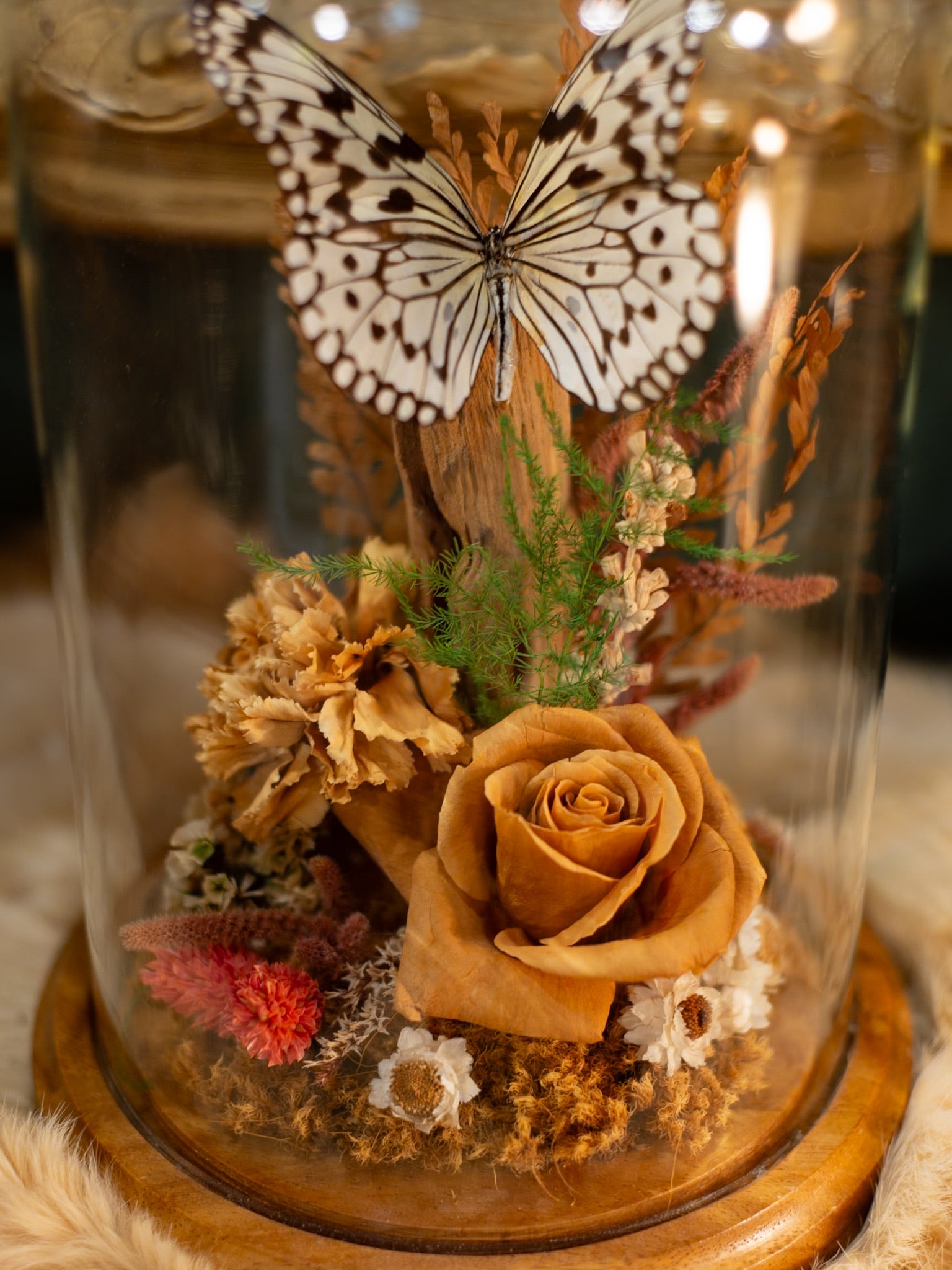 Vintage Butterfly Art Cloche