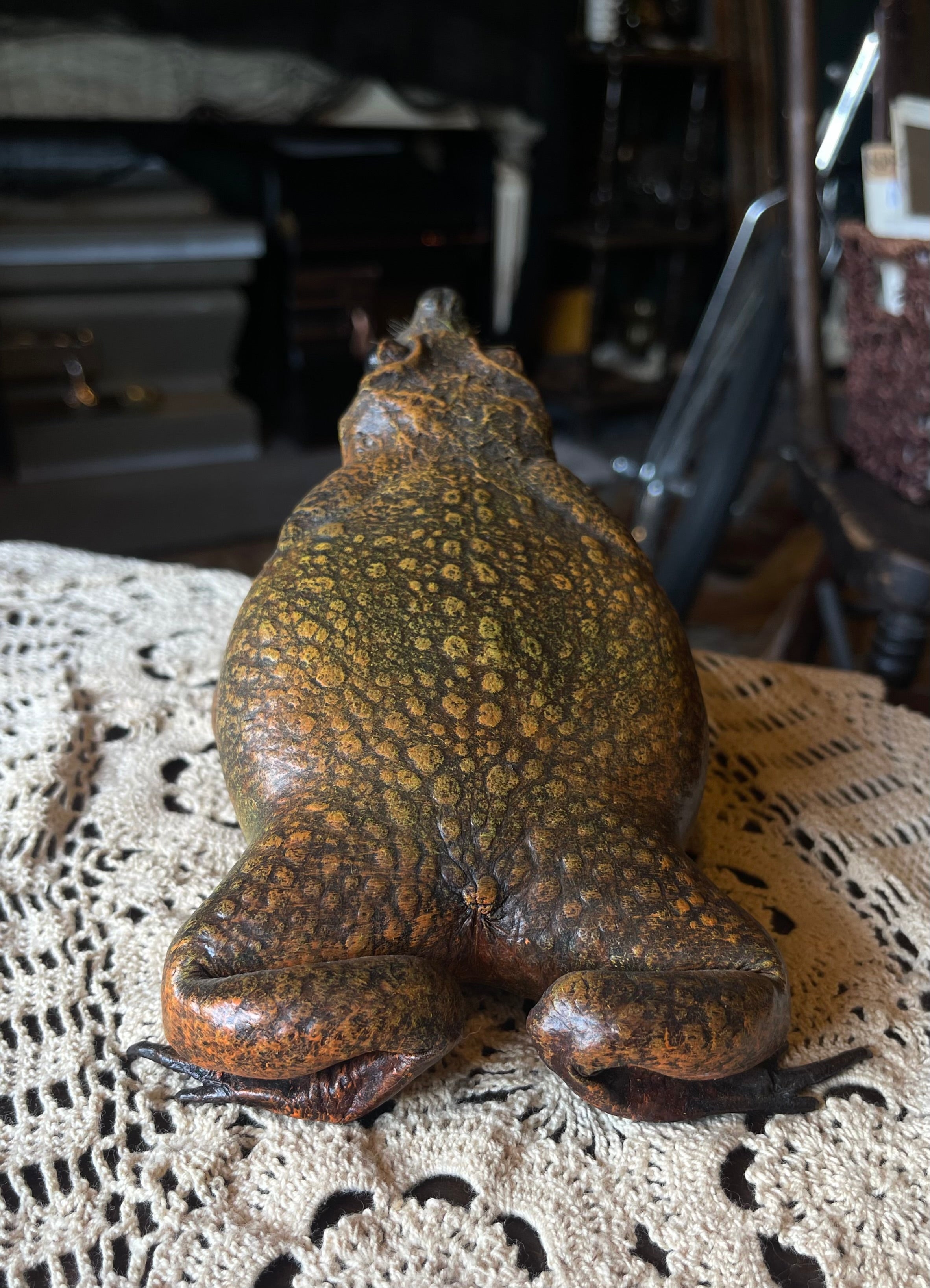 Killer Toad Vintage Taxidermy