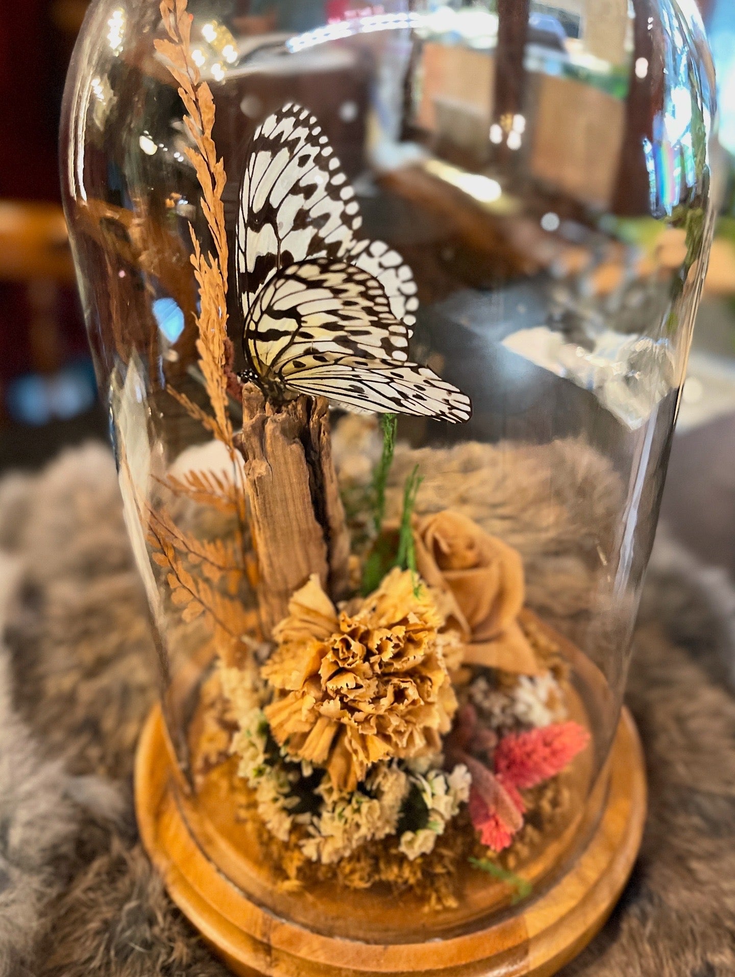 Vintage Butterfly Art Cloche