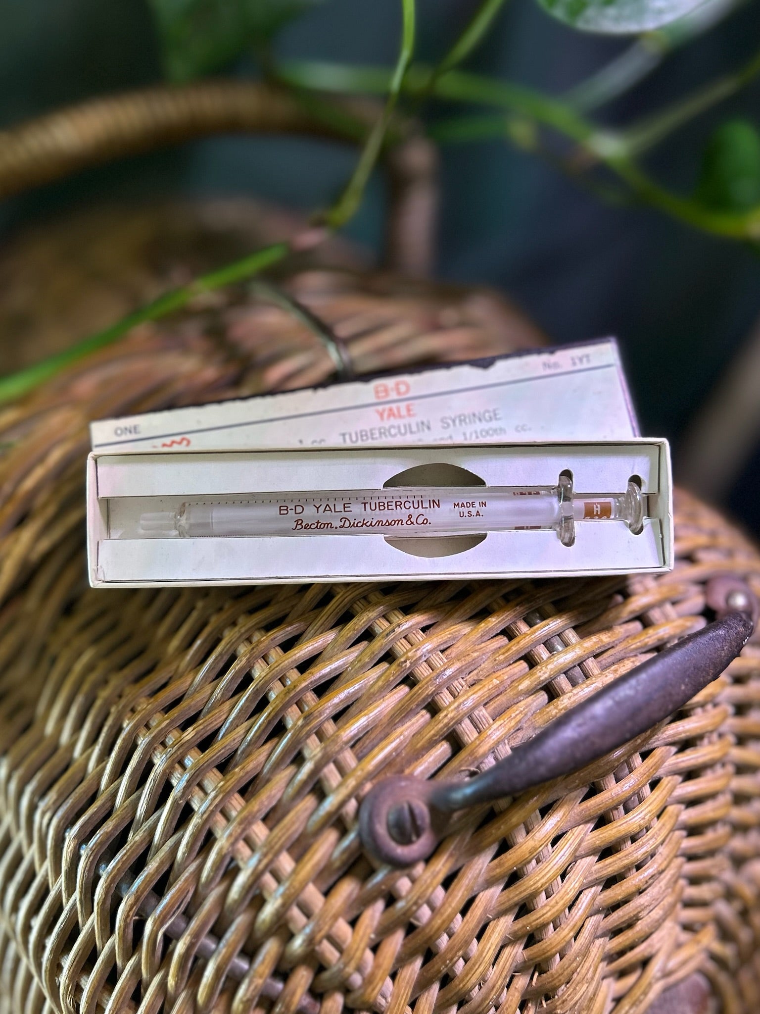 1cc Glass Syringe in Box