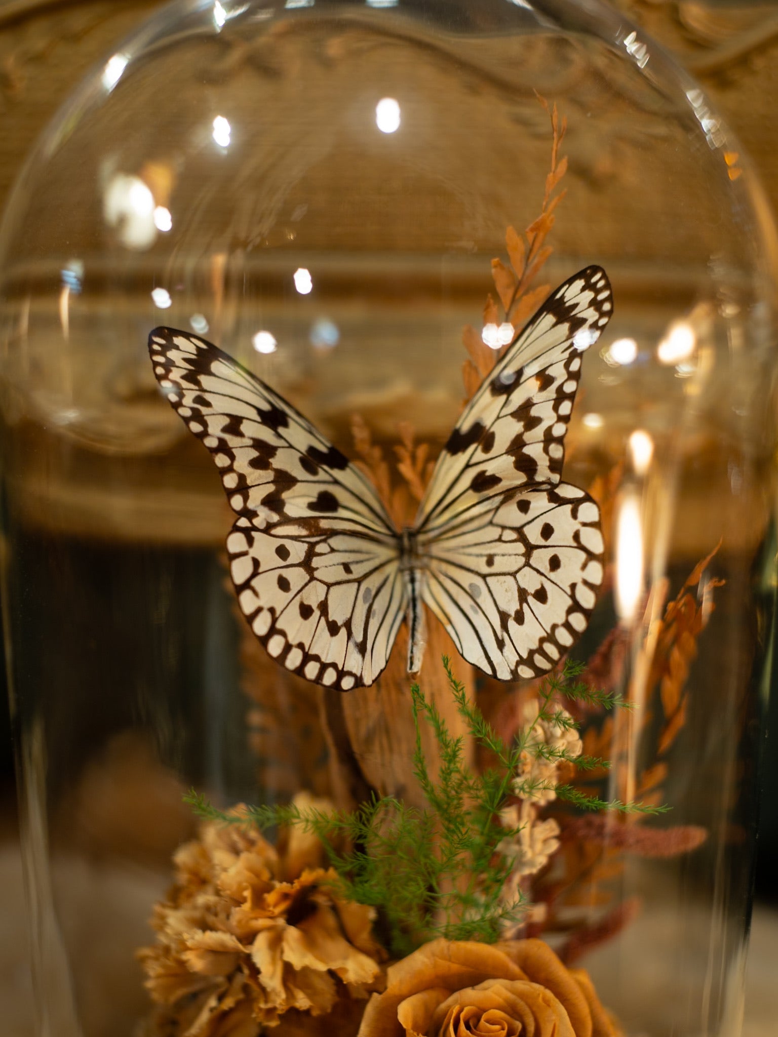 Vintage Butterfly Art Cloche
