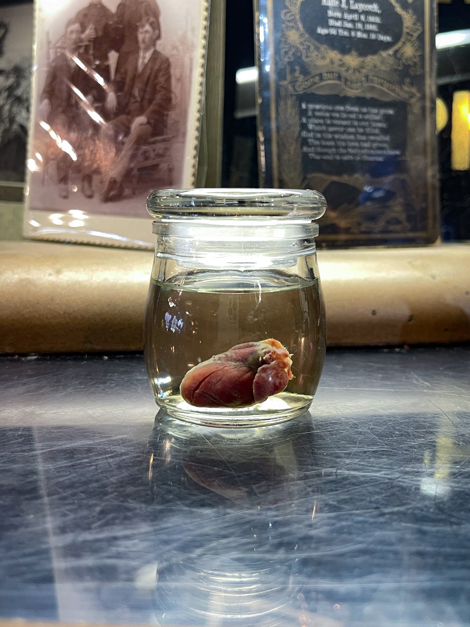 Rabbit Heart Wet Specimen