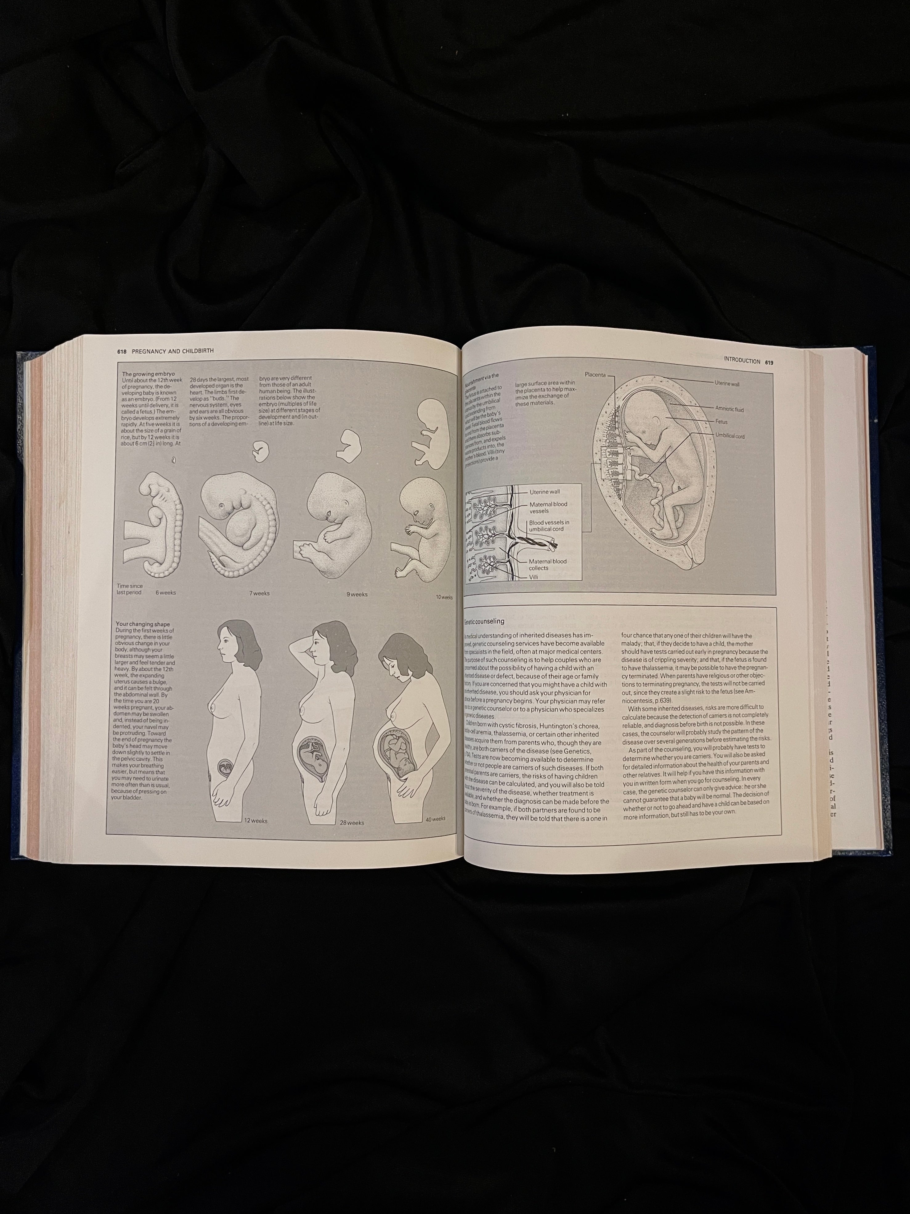 American Medical Association Family Medical Guide, 1982